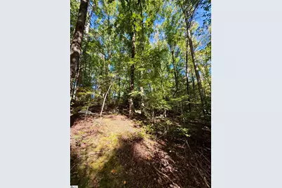 1100 Tugaloo Road, Landrum, SC 29356 - Photo 4
