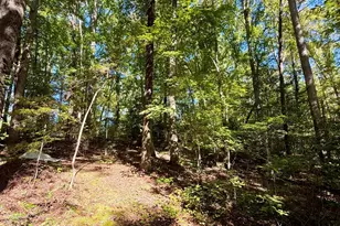 1100 Tugaloo Rd, Landrum, SC 29356 - Photo 4