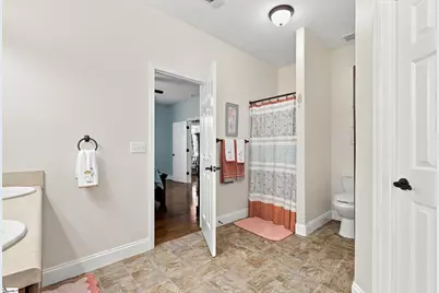 44 Sacha Lane, Travelers Rest, SC 29690 - Photo 20