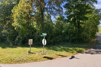 36 Mountain View School Road, Taylors, SC 29687 - Photo 2