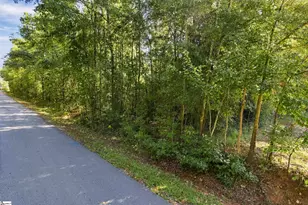 66 Mountain View School Rd, Taylors, SC 29687 - Photo 1