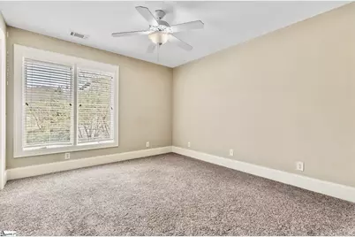 8 Arezzo Drive, Greenville, SC 29609 - Photo 36