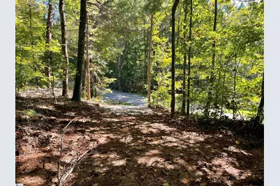 228 Tater Hill Mountain Road, Pickens, SC 29671 - Photo 8