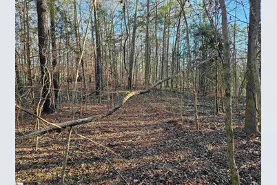 00 Rosemont Circle #Lot 12,13,14, Waterloo, SC 29384 - Photo 2