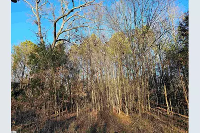 00 Rosemont Circle #Lot 12,13,14, Waterloo, SC 29384 - Photo 4