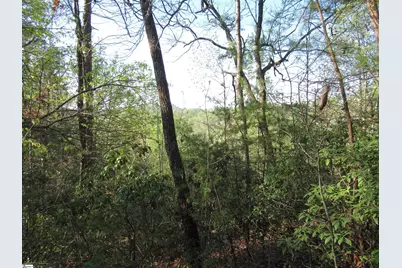 139 Whispering Falls Drive, Pickens, SC 29671 - Photo 22