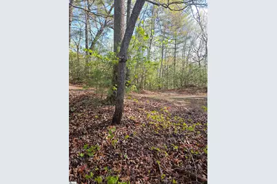 139 Whispering Falls Drive, Pickens, SC 29671 - Photo 16