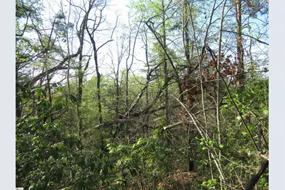 139 Whispering Falls Drive, Pickens, SC 29671 - Photo 20