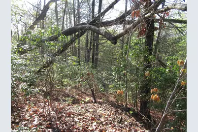 139 Whispering Falls Drive, Pickens, SC 29671 - Photo 24