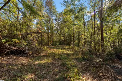 126 Valley Lake Trail, Travelers Rest, SC 29690 - Photo 18