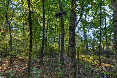 3880 Pennington Road, Greer, SC 29651 - Photo 40