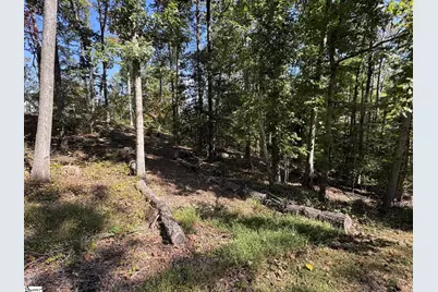 Ivorybill Way, Salem, SC 29676 - Photo 6