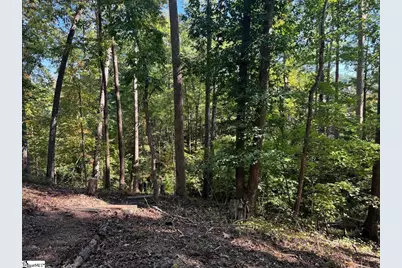 Ivorybill Way, Salem, SC 29676 - Photo 14