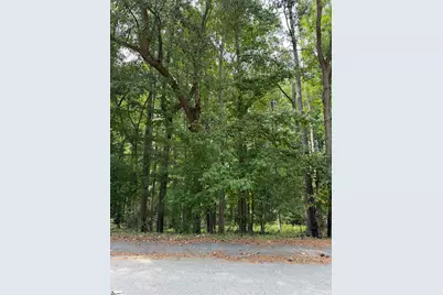 340 Valley View Drive, Woodruff, SC 29388 - Photo 1