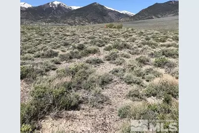 130 Austin Avenue, Kingston, NV 89310 - Photo 4
