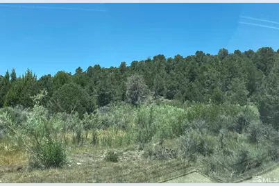Tbd (77), Minden, NV 89423 - Photo 1