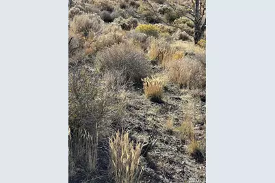 Tbd Parcels At Pine Nut Creek Area, Gardnerville, NV 89410 - Photo 34
