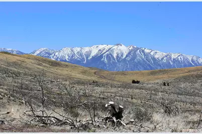 Tbd Parcels At Pine Nut Creek Area, Gardnerville, NV 89410 - Photo 1