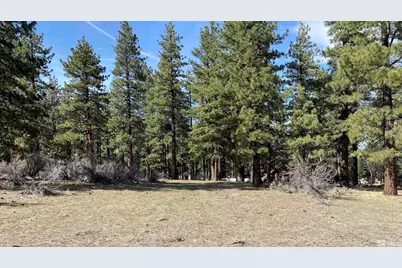 4300 Meadow Wood, Carson City, NV 89703 - Photo 1