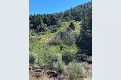 Tbd El Dorado Canyon, Carson City, NV 89701 - Photo 12