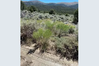 Tbd El Dorado Canyon, Carson City, NV 89701 - Photo 18