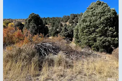 Tbd El Dorado Canyon, Carson City, NV 89701 - Photo 20