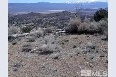 1196 Slate, Wellington, NV 89444 - Photo 2