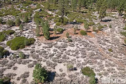 168 Five Creek Road, Gardnerville, NV 89460 - Photo 20