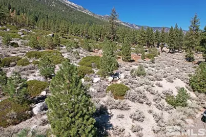 168 Five Creek Road, Gardnerville, NV 89460 - Photo 18