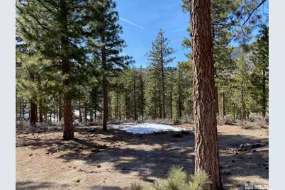 156 Walton Toll Road, Carson City, NV 89705 - Photo 4