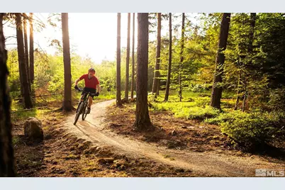 140 Walton Toll Road, Carson City, NV 89705 - Photo 30