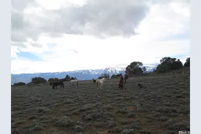 00430124 Mount Davidson, Virginia City, NV 89440 - Photo 14