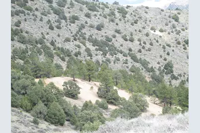 00430124 Mount Davidson, Virginia City, NV 89440 - Photo 26