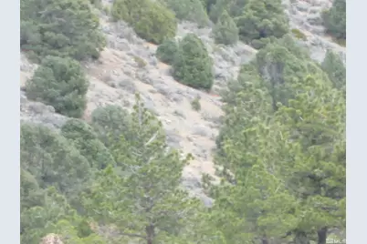 00430125 Mt Davidson, Virginia City, NV 89440 - Photo 14