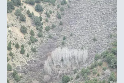 00430125 Mt Davidson, Virginia City, NV 89440 - Photo 24