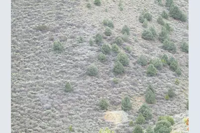 00430125 Mt Davidson, Virginia City, NV 89440 - Photo 22