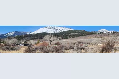 04608053 S US Highway 395, Washoe Valley, NV 89704 - Photo 6