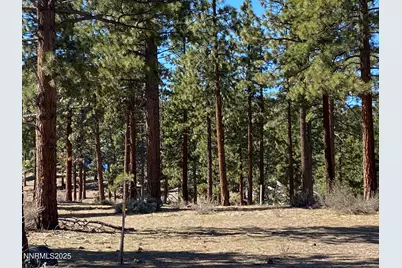 185 Dall Court #195, Carson City, NV 89705 - Photo 6