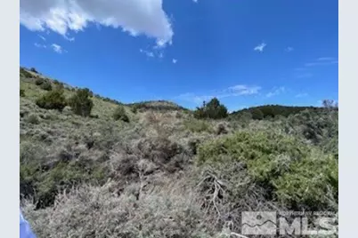 4720 Lost Burro Road, Virginia City, NV 89521 - Photo 1