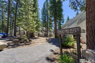 807 Alder Ave, Incline Village, NV 89451 - Photo 22