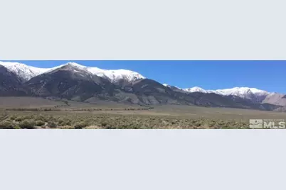 261 Gillman Springs Drive, Austin, NV 89310 - Photo 4