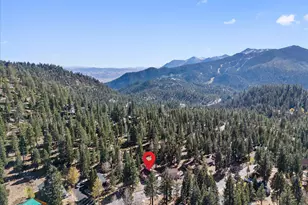 449 Andria Dr, Stateline, NV 89449 - Photo 66