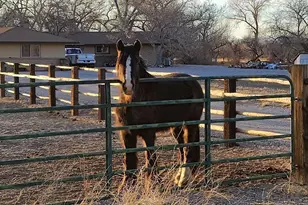 1677 Rio Vista Dr, Fallon, NV 89406 - Photo 40