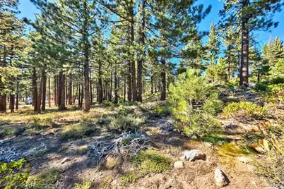 0 Mountain Haven Lane, Reno, NV 89511 - Photo 22