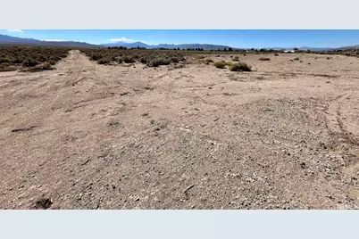 246 Finch Place, Smith, NV 89430 - Photo 6