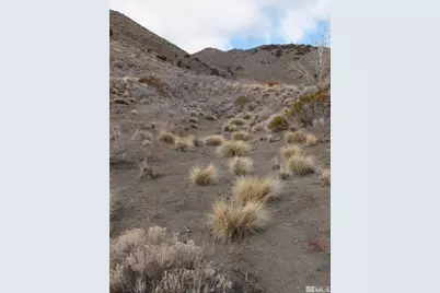 1265 Freds Mountain Road, Reno, NV 89508 - Photo 10