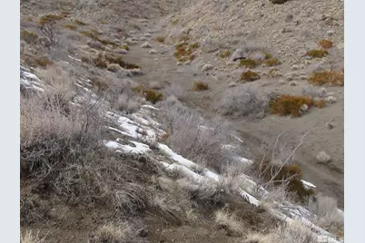 1265 Freds Mountain Road, Reno, NV 89508 - Photo 28