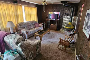 316 Toiyabe Rd, Kingston, NV 89310 - Photo 12