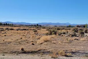 1765 Crockett Ln, Gardnerville, NV 89410 - Photo 1