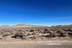 259 Mount Grant, Smith, NV 89430 - Photo 1